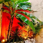 Votre Escale Jungle Sauna & Daire