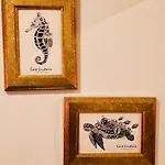 Votre Escale Jungle Sauna & 公寓 尼奥尔