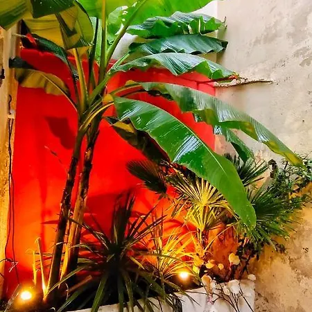 Votre Escale Jungle Sauna & Апартаменты