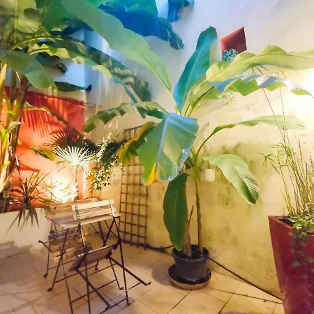 Votre Escale Jungle Sauna & Appartement *