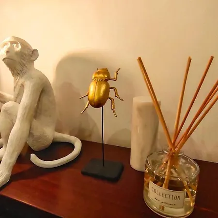 Lägenhet Votre Escale Jungle Sauna &